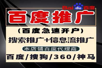 SEM专员实战案例解析